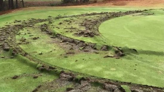 Awful vandalism at Florida golf club could cost up to $25,000